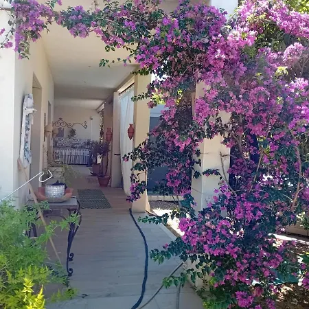 Ferienhaus Maison Avec Grand Jardin Et Jacuzzi Proche De L'etang De Thau *